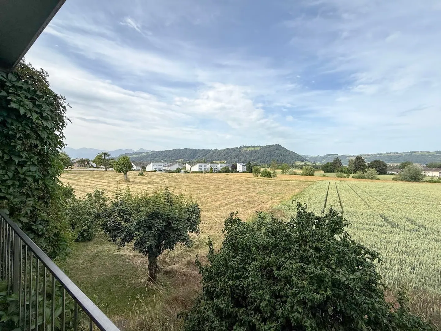 Charmante appartement 3,5 pièces avec vue sur la verdure - Photo 1 sur 15