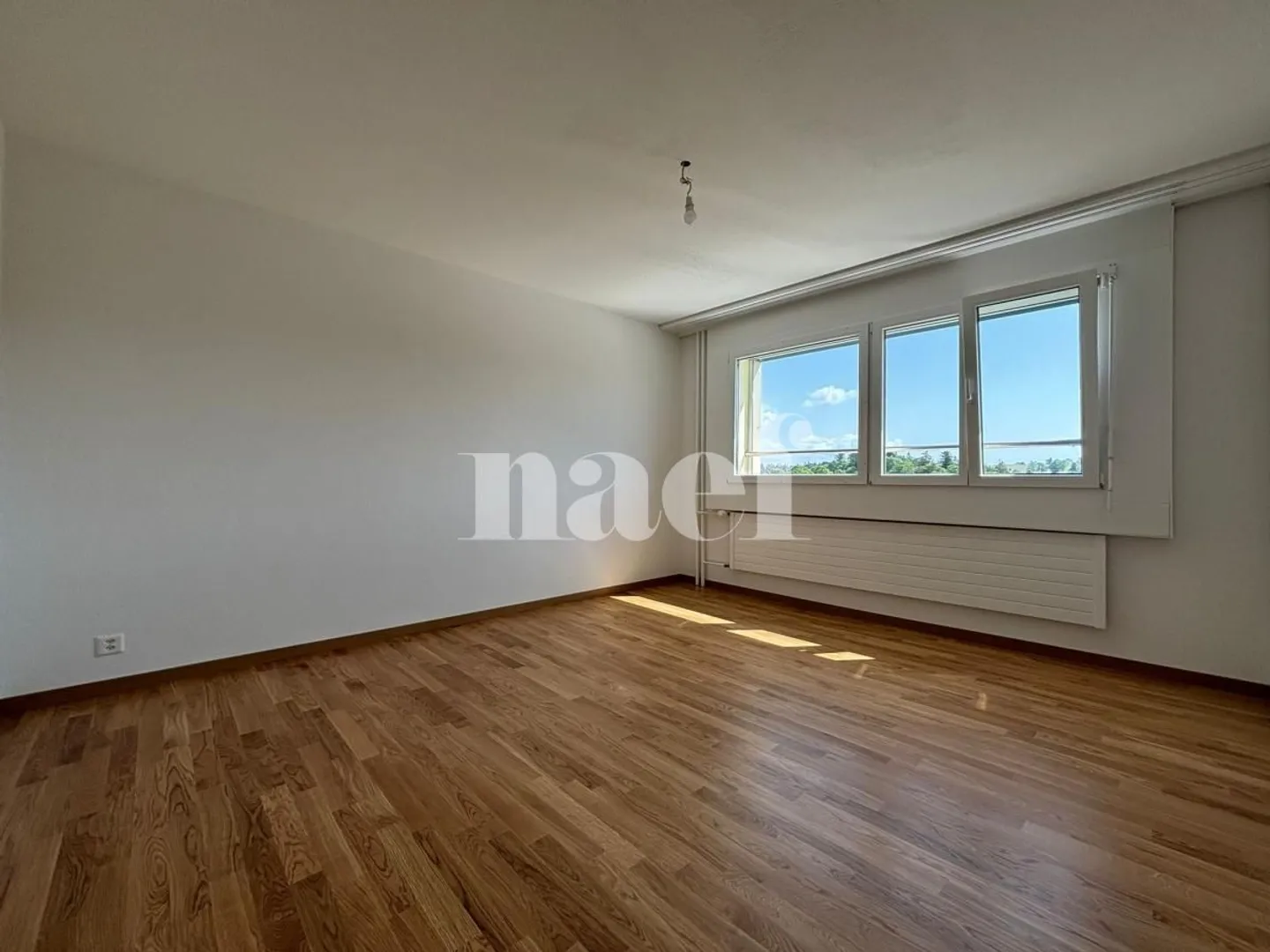 3.5 Room Apartment - Photo 4 of 5