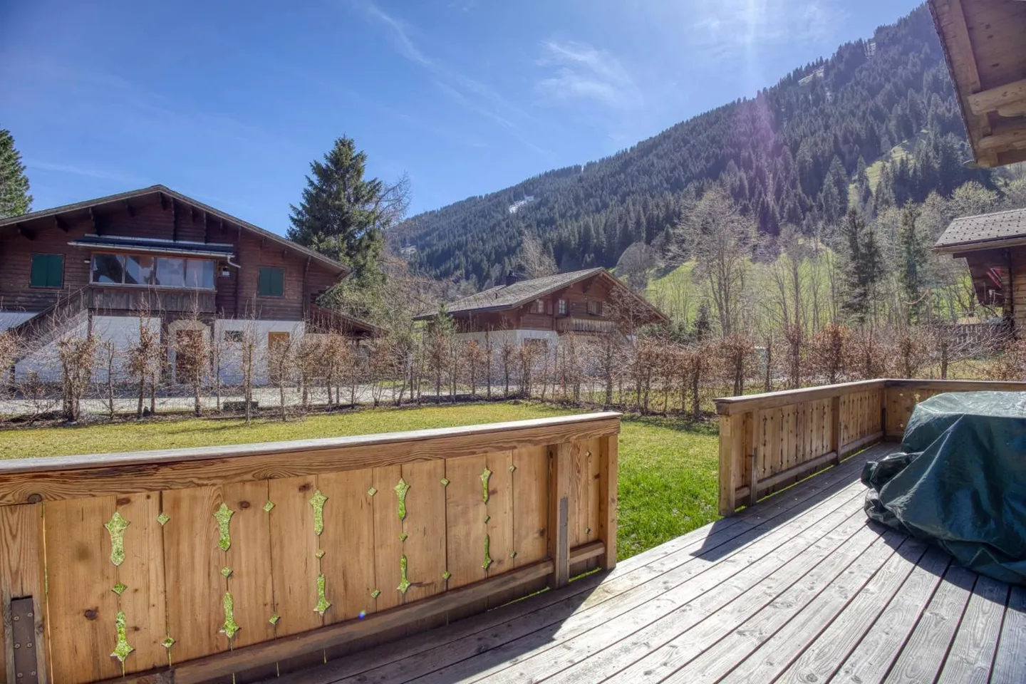 Magnificent furnished chalet between Gstaad and Lauenen - Photo 12 of 13