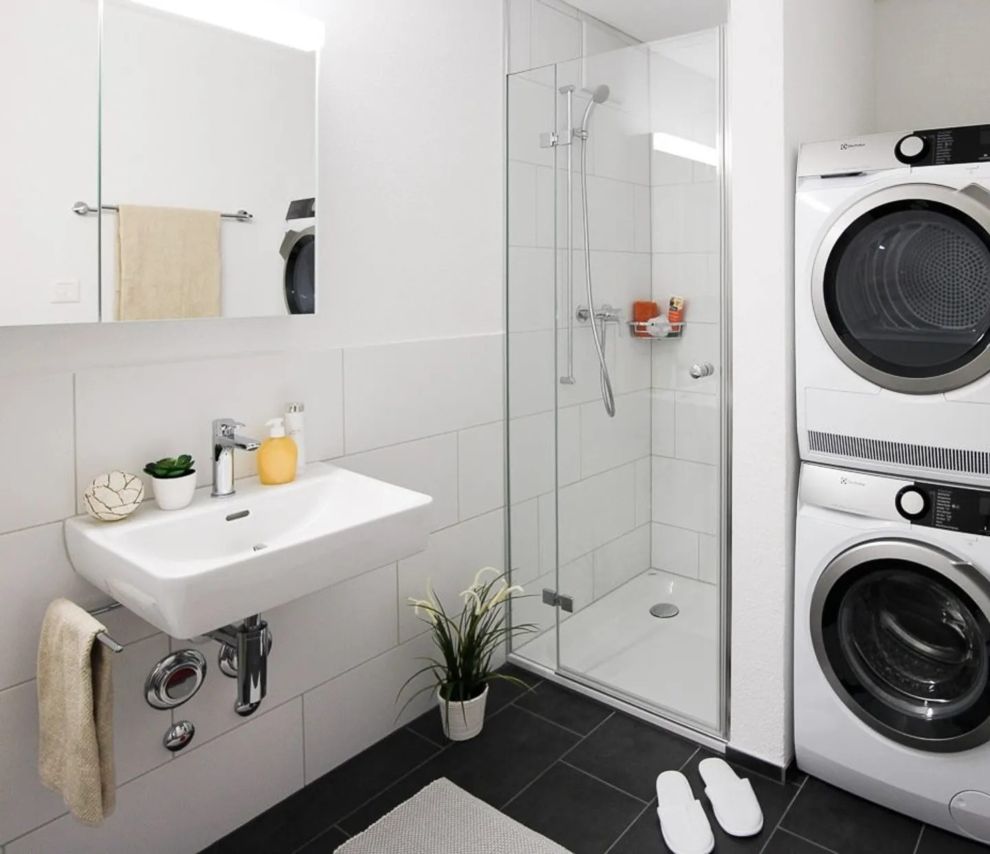 Appartement 4.5 pièces - Photo 5 sur 11