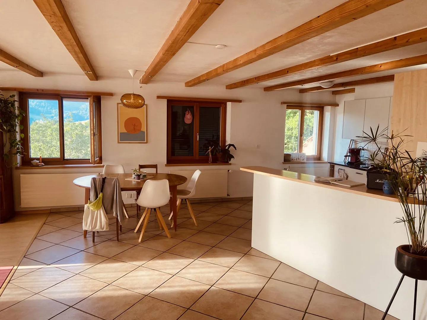 Appartamento spazioso e soleggiato nella natura - Foto 3 di 10