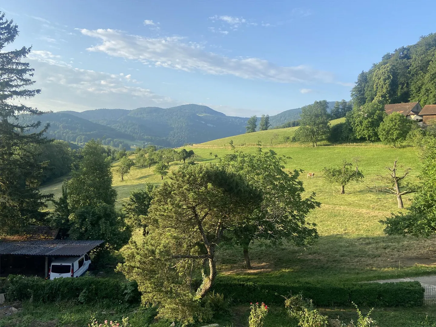 Appartamento spazioso e soleggiato nella natura - Foto 4 di 10