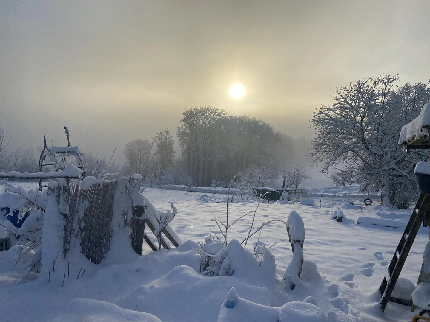 Appartamento spazioso e soleggiato nella natura - Foto 10 di 10