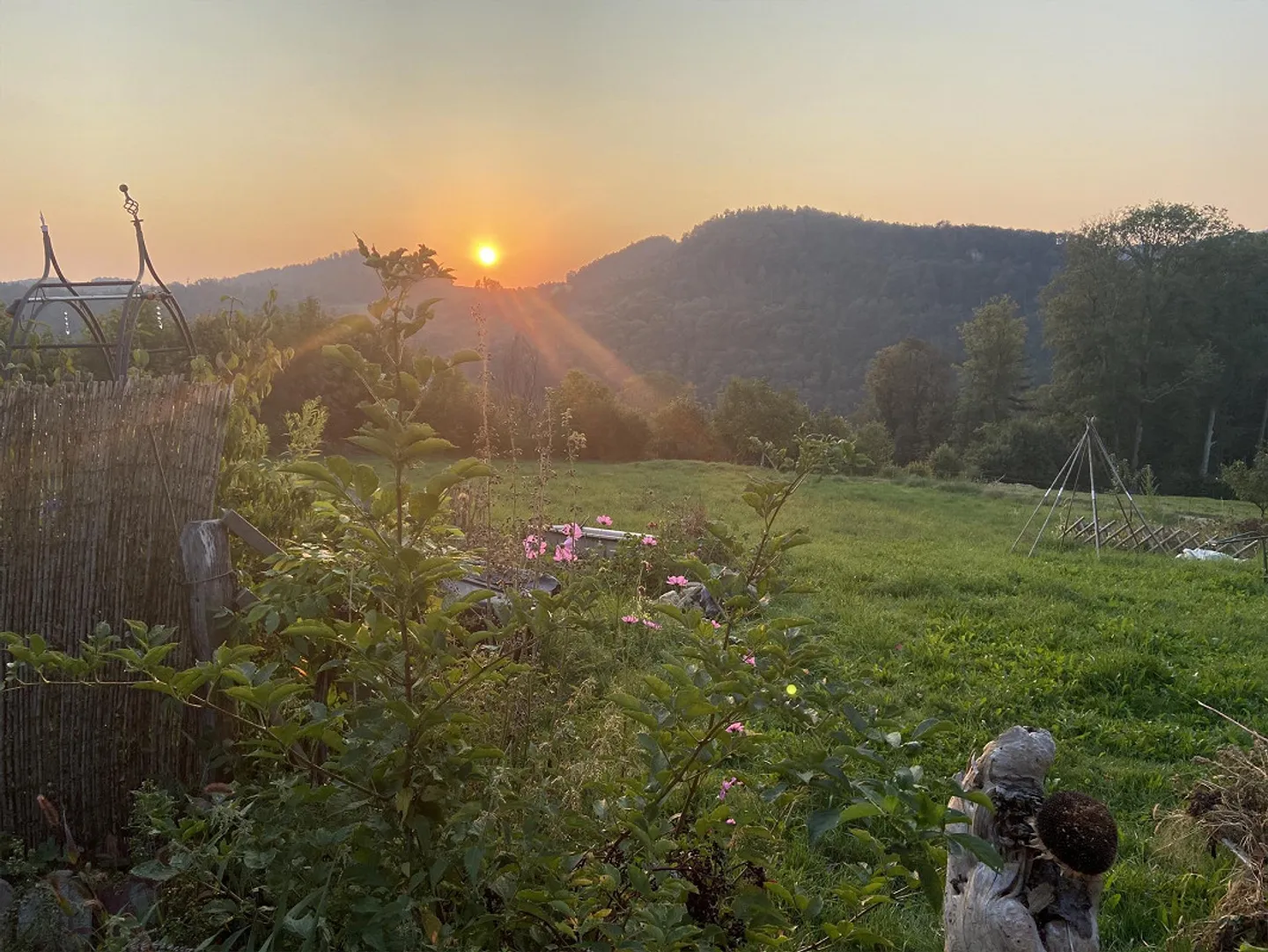 Appartamento spazioso e soleggiato nella natura - Foto 8 di 10