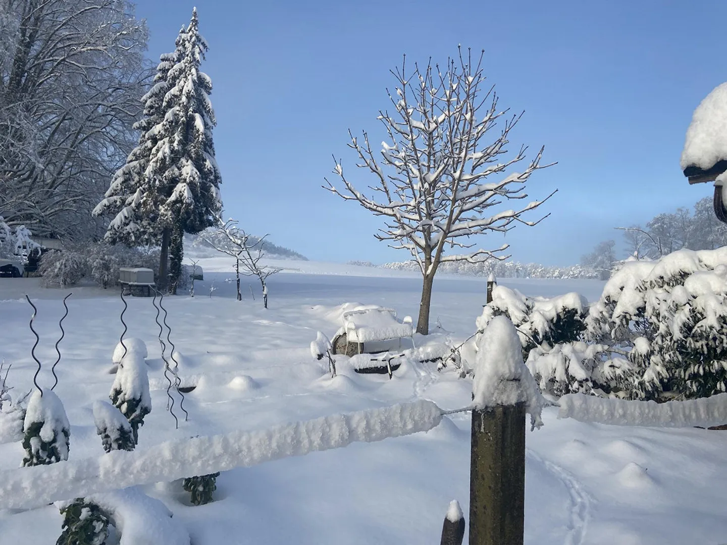 Appartamento spazioso e soleggiato nella natura - Foto 9 di 10
