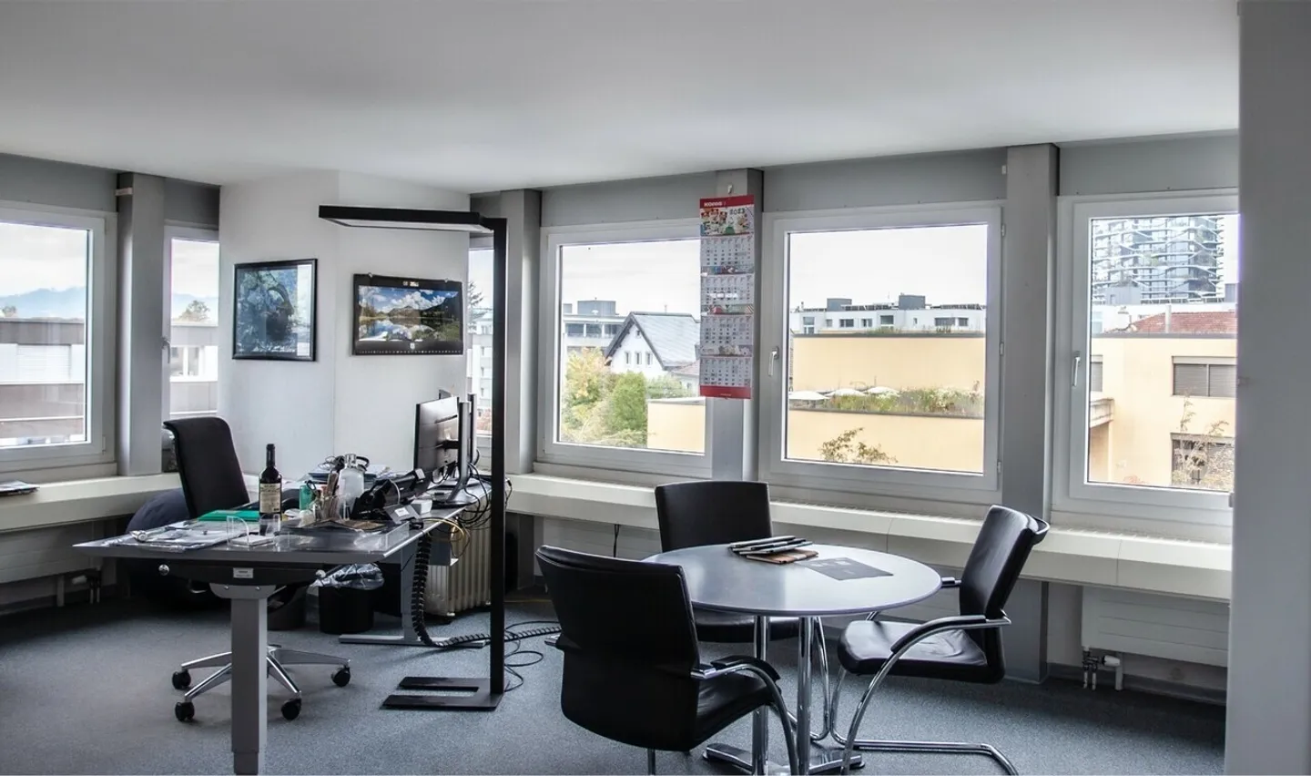 Warehouse, Production & Administrative Spaces in the Bern Economic Area - Photo 3 of 12