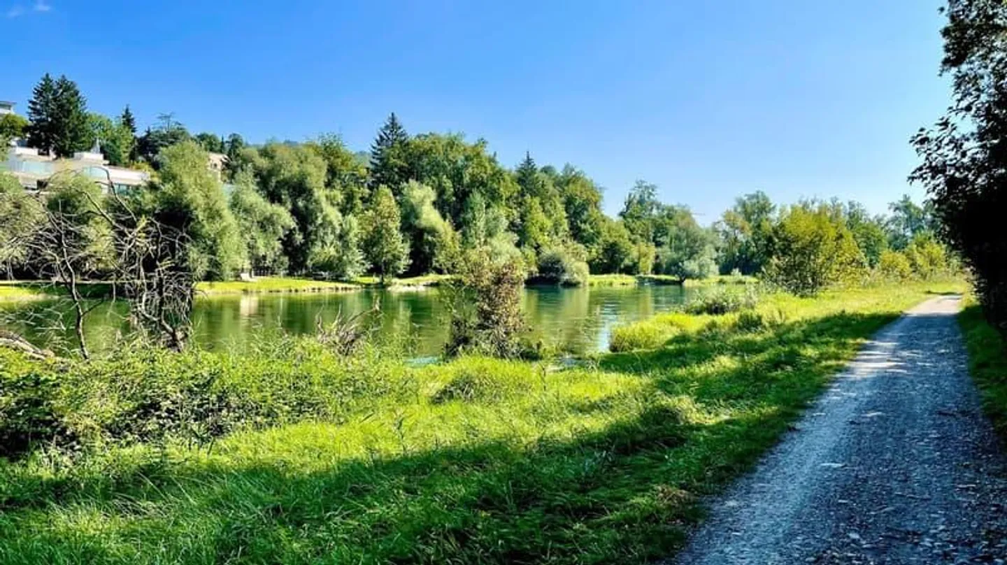 Spazio ufficio in affitto - Foto 7 di 7