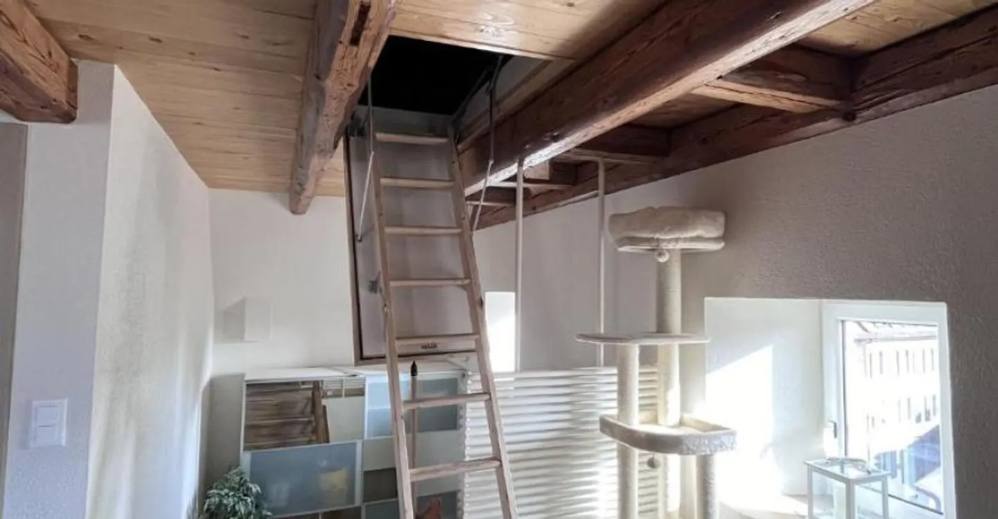 Wunderschöne 3,5-Zimmer-Wohnung in der Nähe des Stadtzentrums - Foto 6 von 12