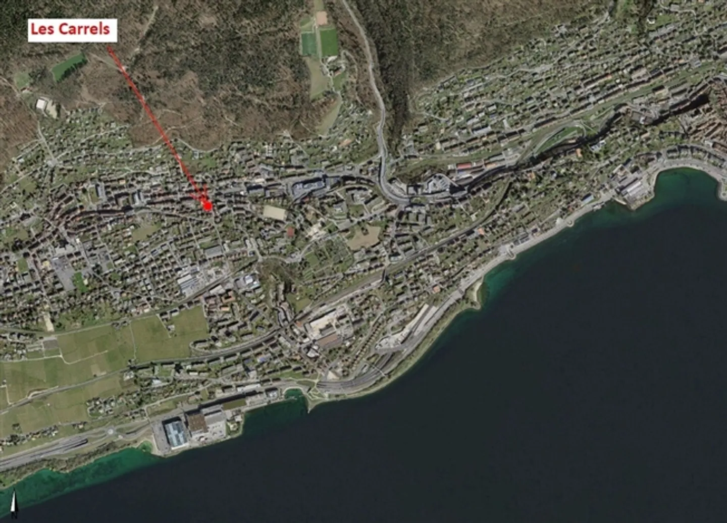 The Carrels - Photo 10 of 10