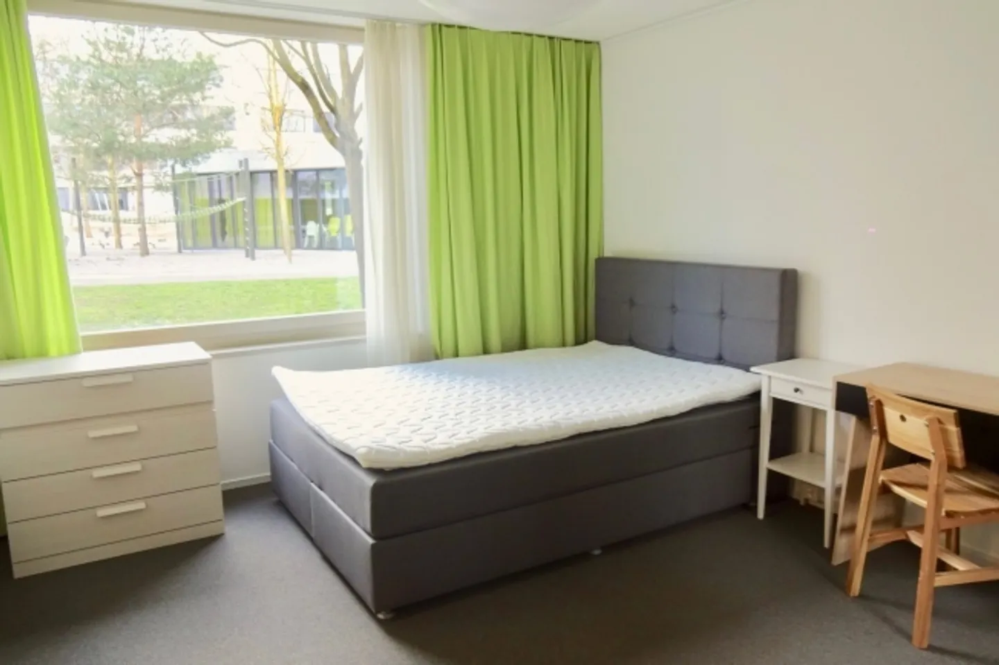 ONLINE VIEWING shared room - Photo 3 of 10