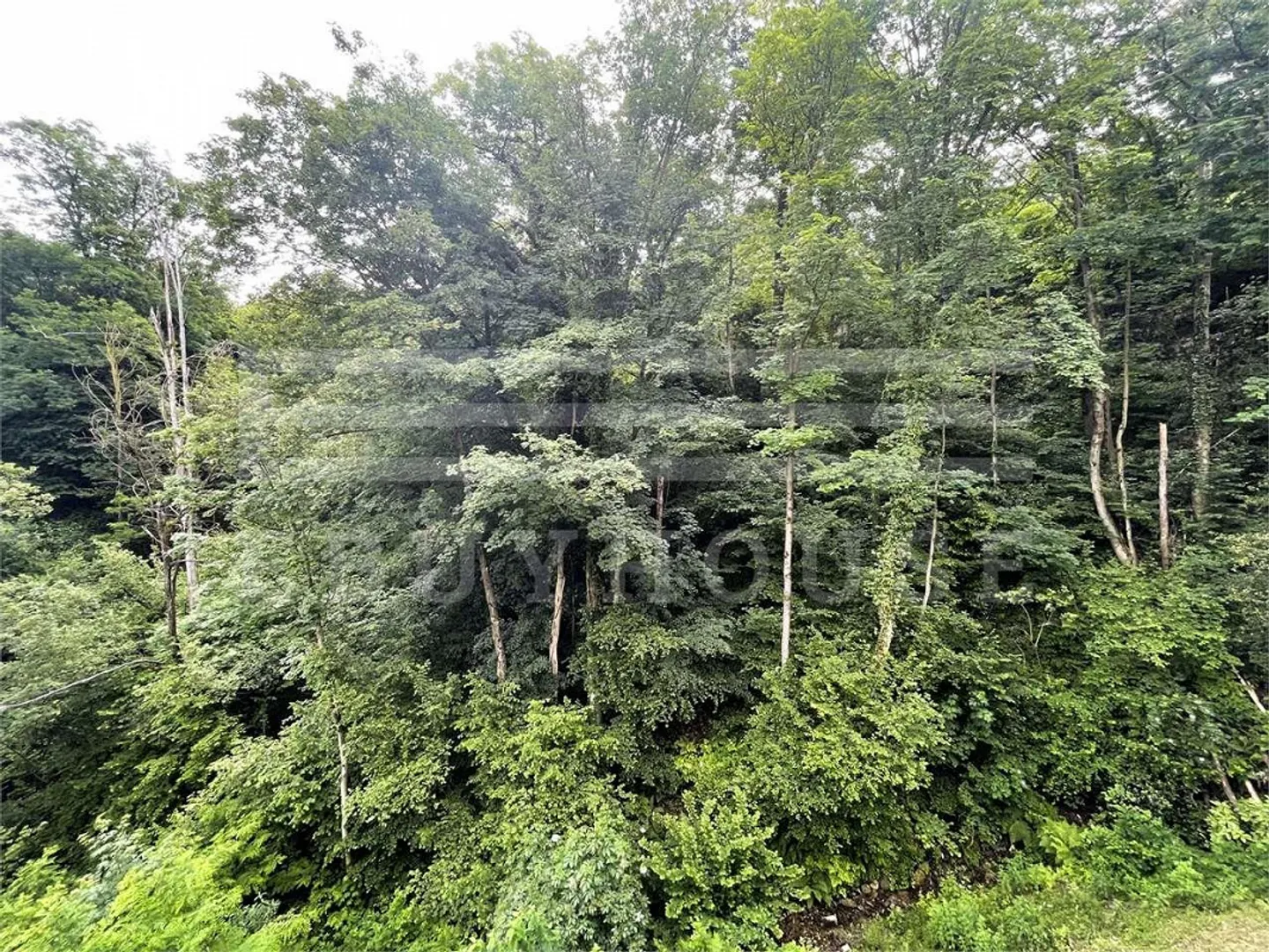 APPARTAMENTO IMMERSO NELLA NATURA E TRANQUILLITÀ - Foto 13 di 13