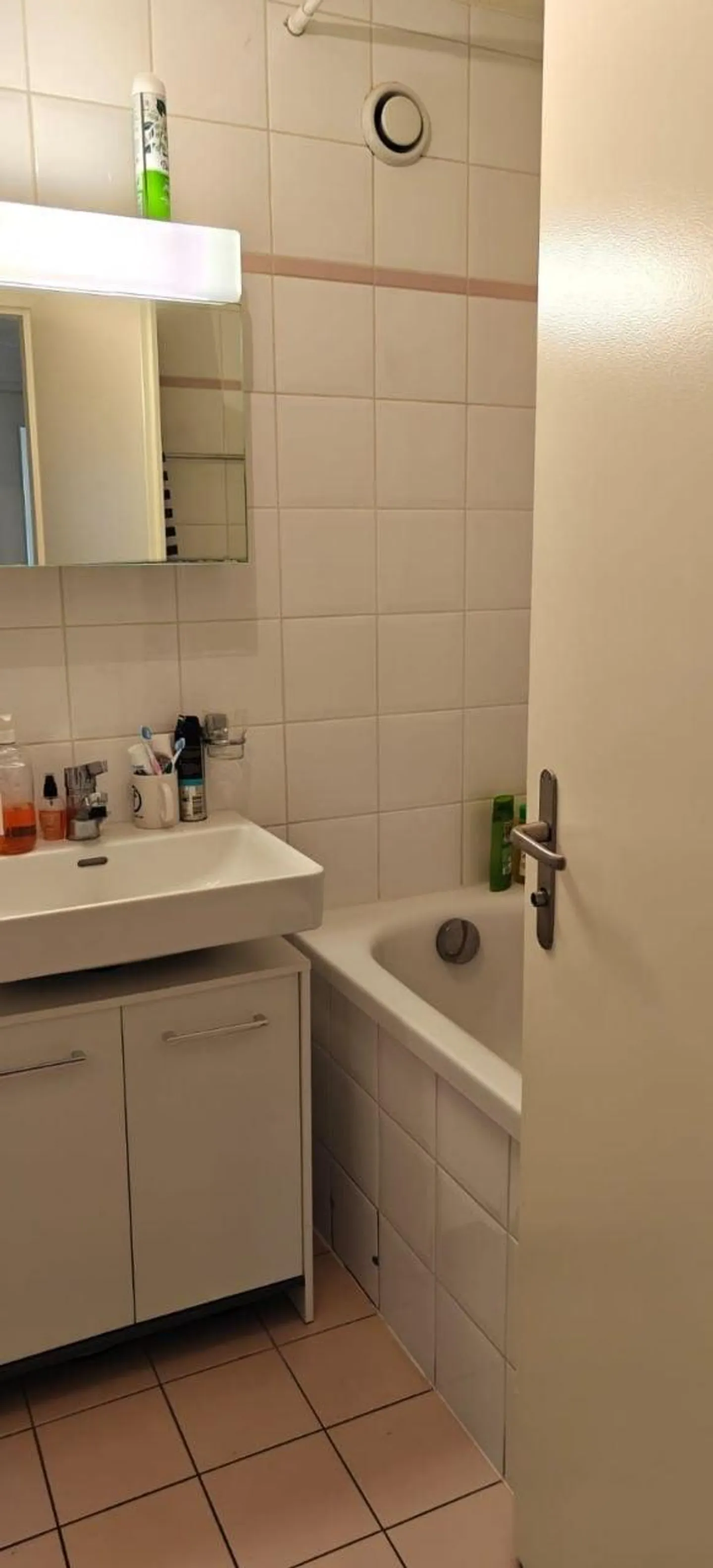 Four-room apartment furnished in Plan-les-Ouates - Photo 4 of 9
