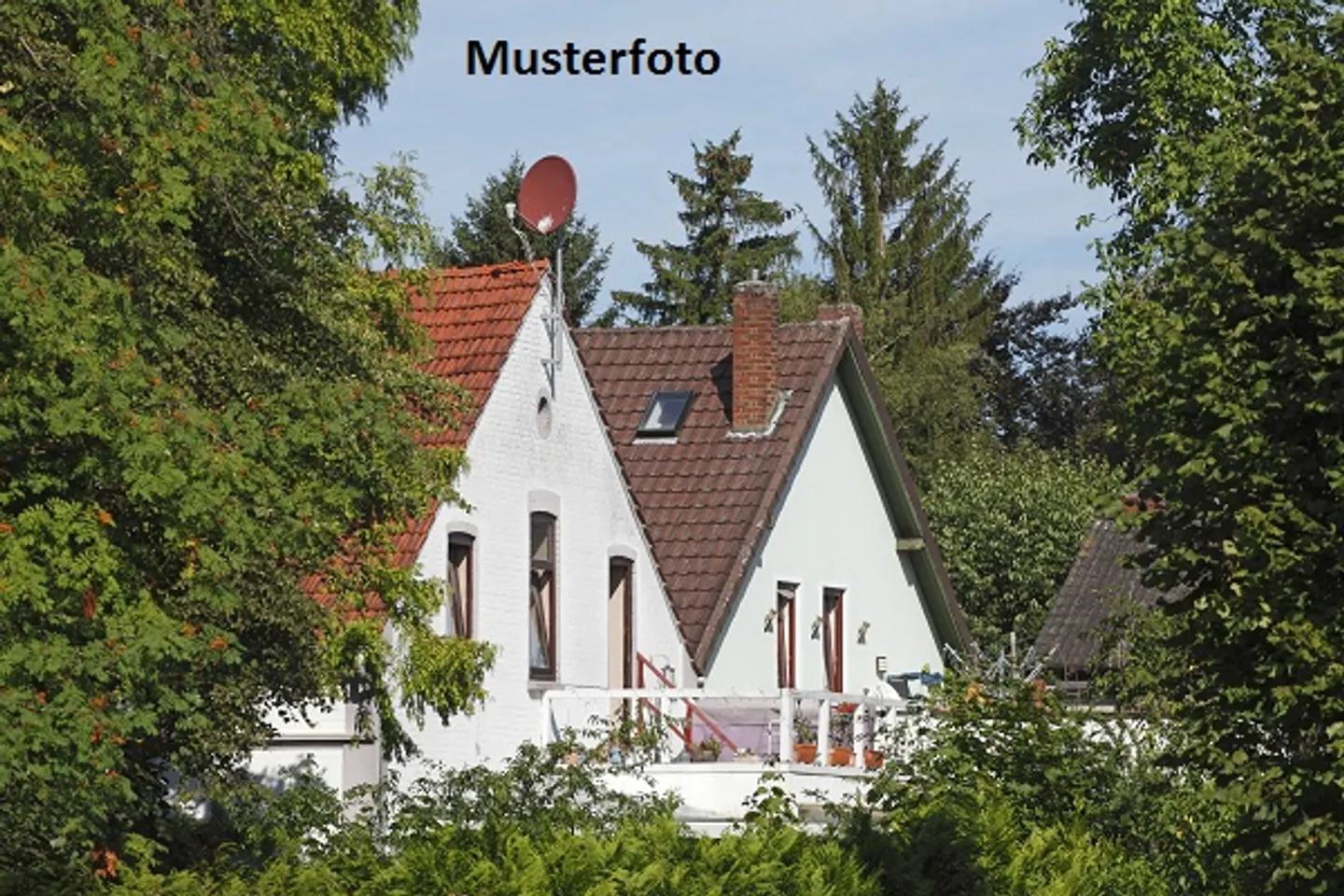 Proprietà all'asta con giardino - Foto 1 di 13