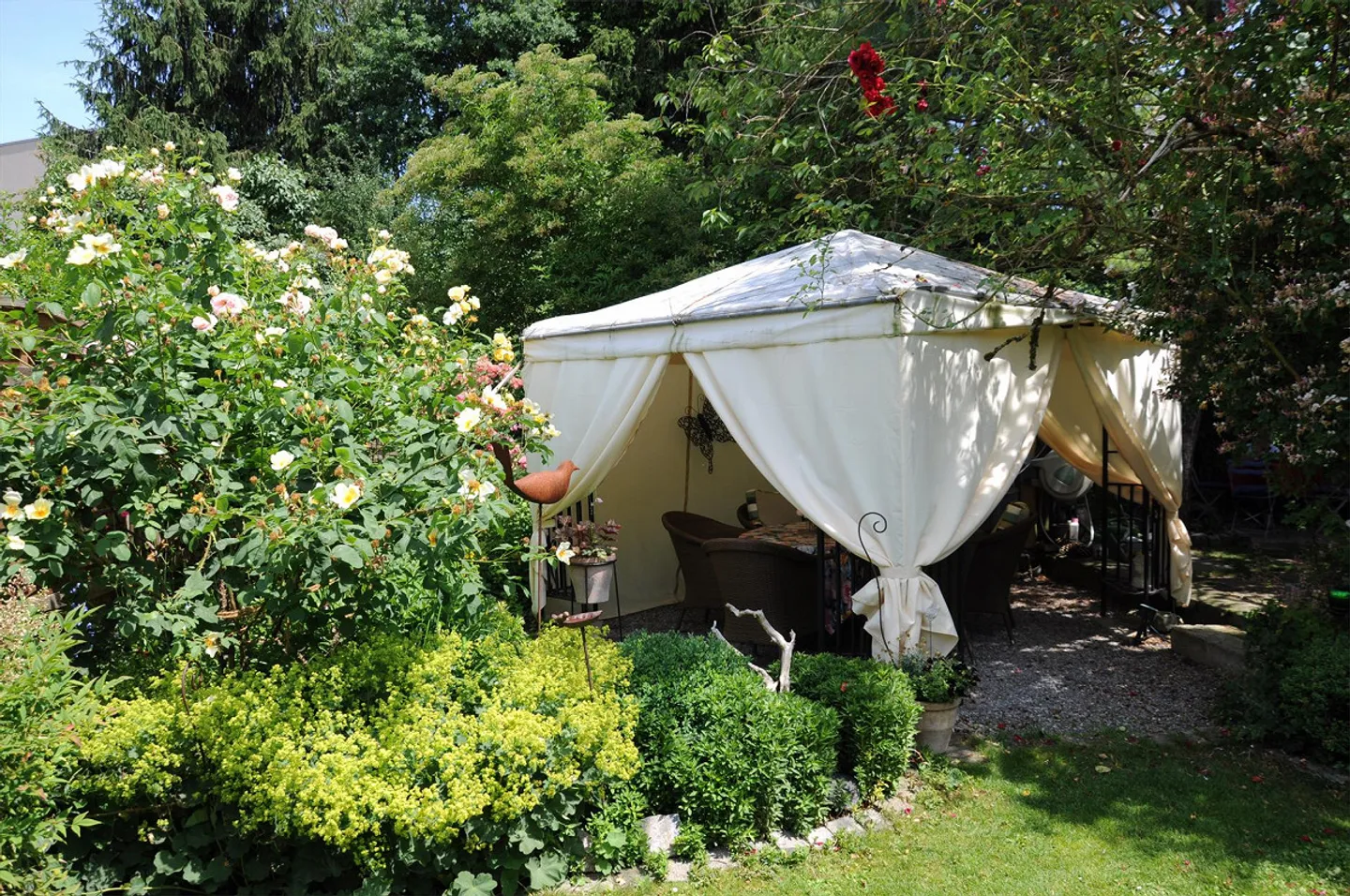 Charmante Wohnung mit Garten - Foto 1 von 8