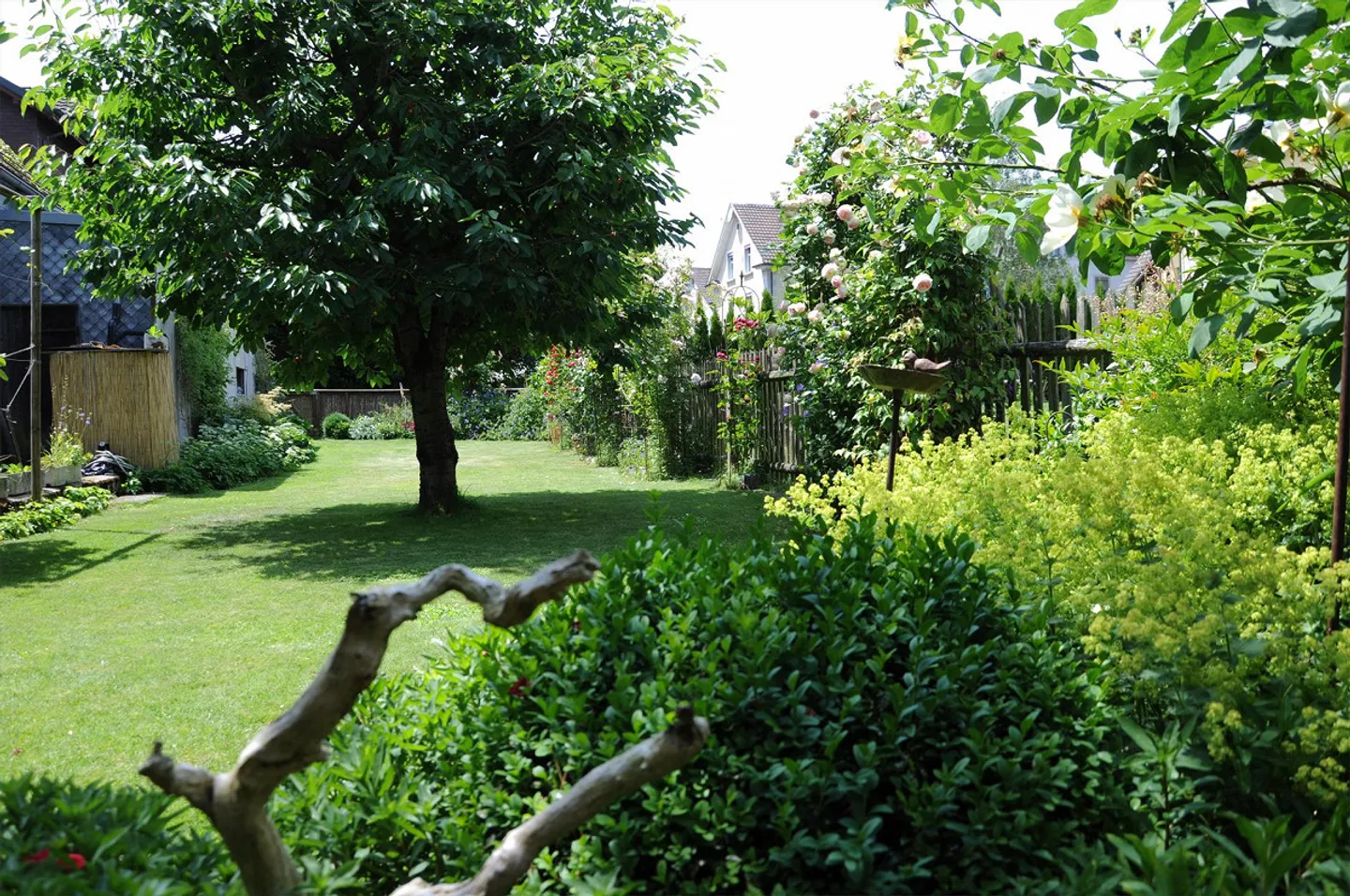 Charmante Wohnung mit Garten - Foto 3 von 8