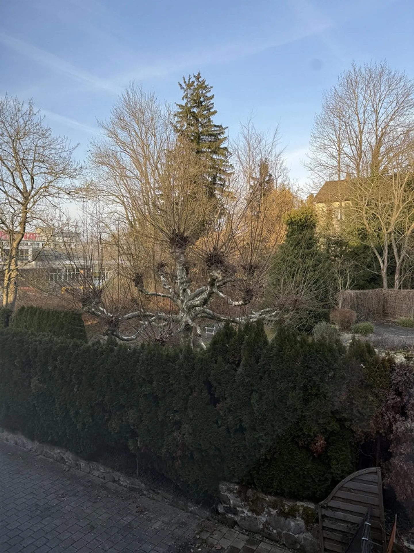 Heimeliges 2.5 Zimmer Appartement - Foto 3 von 9