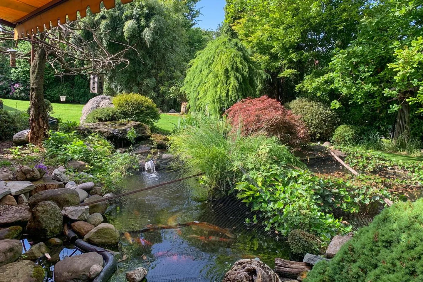 Casa unifamiliare a Forch con molta privacy e potenziale - Foto 4 di 5