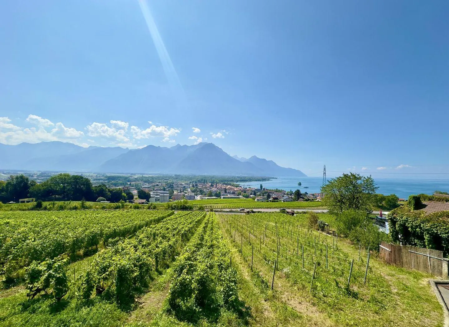 Between Lake and Vineyards - Charming Village House with Expansion Potential! - Photo 18 of 18