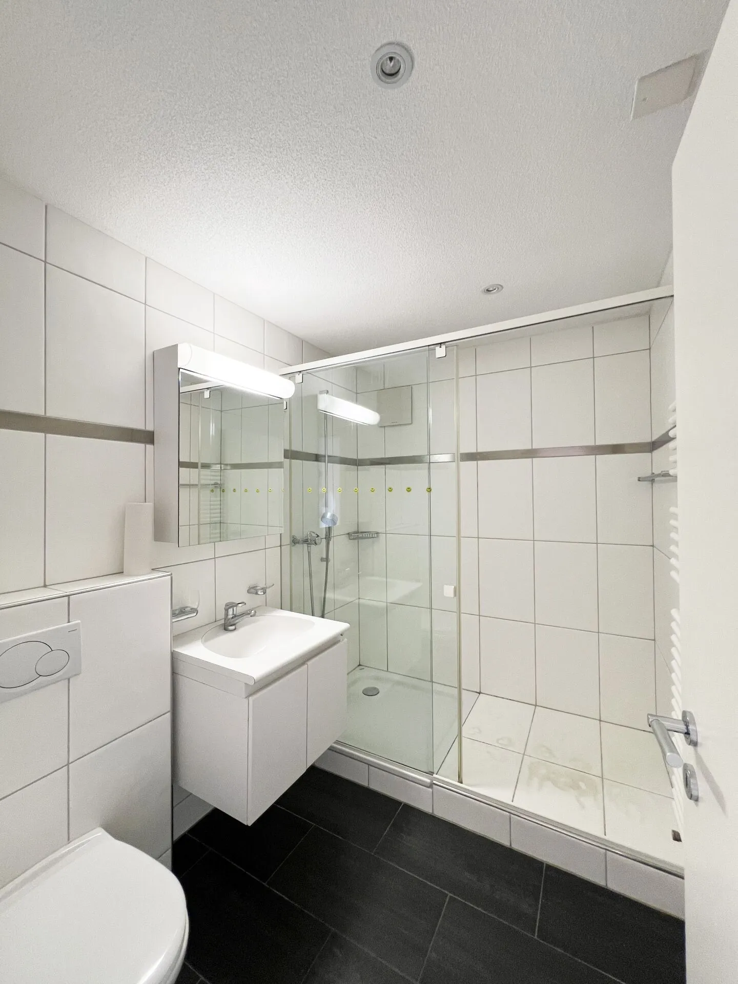Living with a View and Sense of Space - Your New Home in Gebenstorf - Photo 2 of 11