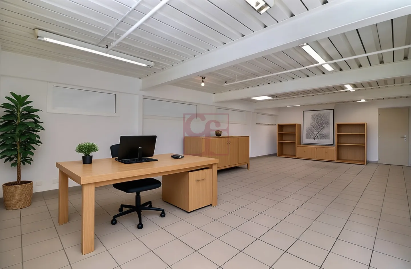 Local sports or care room for rent - Photo 5 of 9