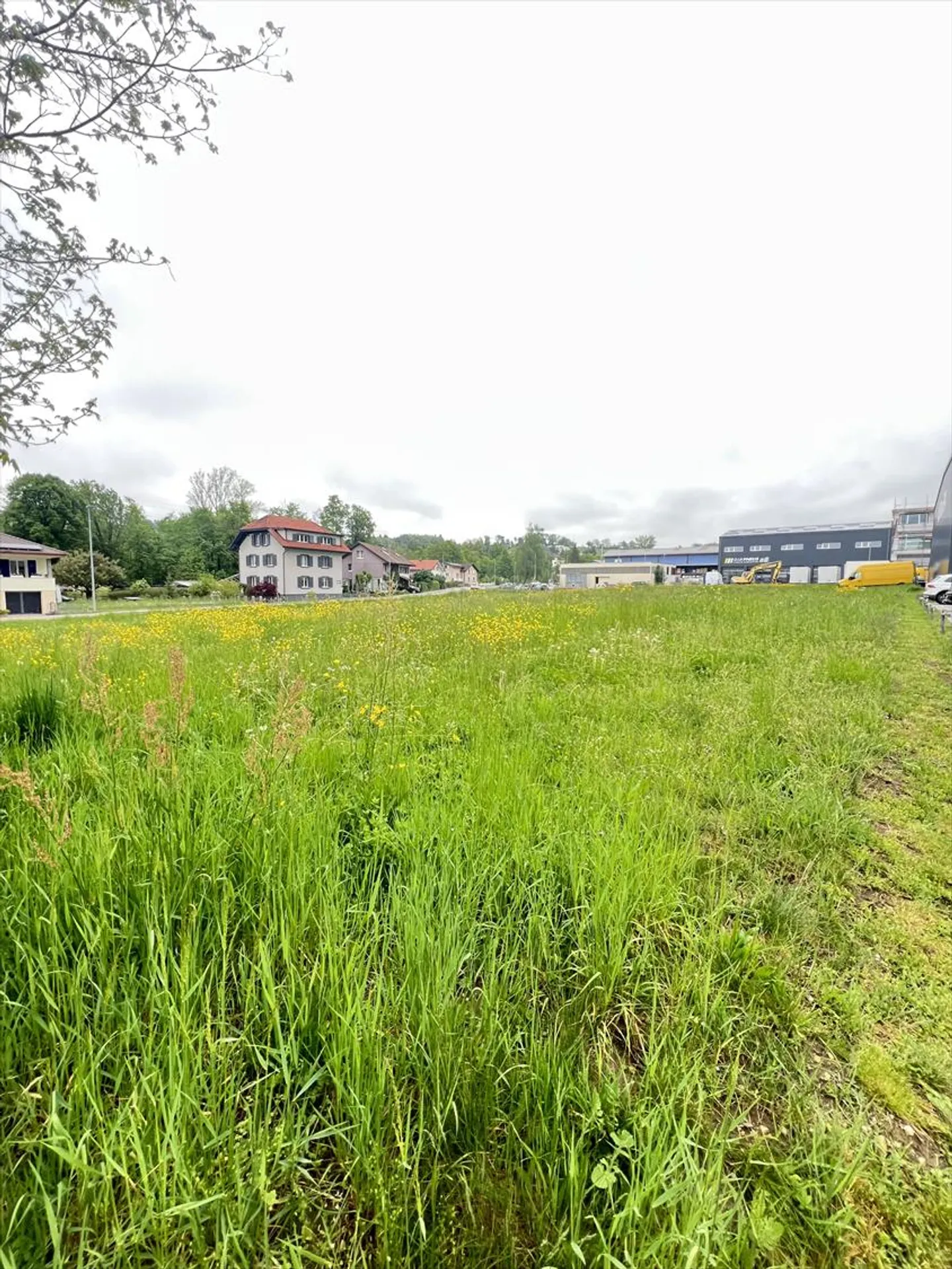 Suche Baugrundstück in der Region Fribourg und Umgebung - Foto 3 von 4