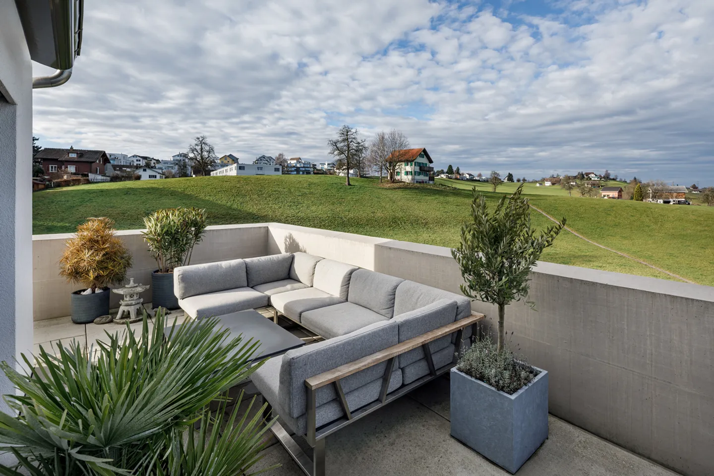 ELEVATE GREEN - Photo 3 of 4