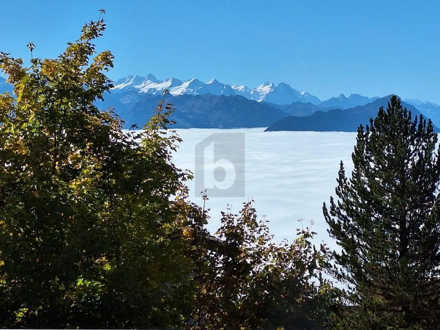 EXCELLENT VIEW OF THE RIGI - Photo 5 of 6