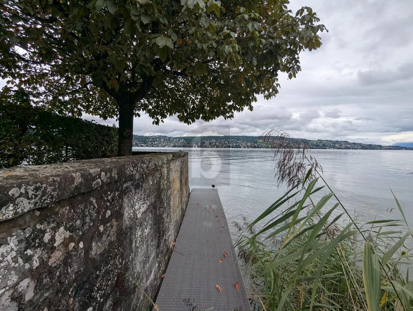 MÖBLIERT AM SEE MIT PRIVATEM BADEPLATZ - Foto 1 von 6
