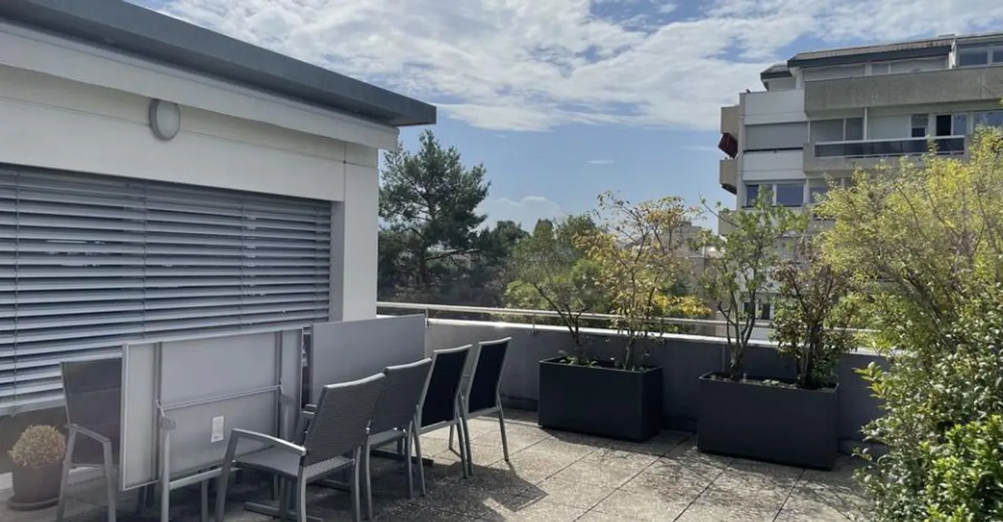 BEAUTIFUL AND SPACIOUS PENTHOUSE APARTMENT - Photo 1 of 13