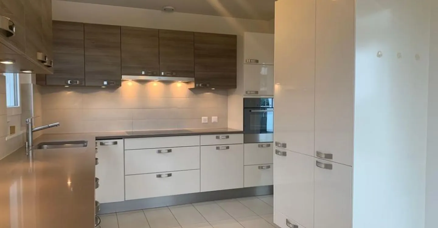 BEAUTIFUL AND SPACIOUS PENTHOUSE APARTMENT - Photo 6 of 13
