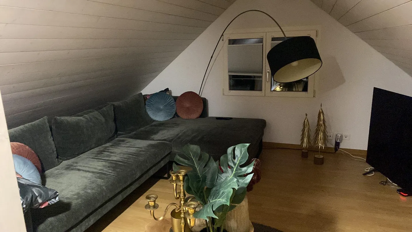 Attico centrale di 3,5 stanze a Steinhausen - Foto 8 di 8