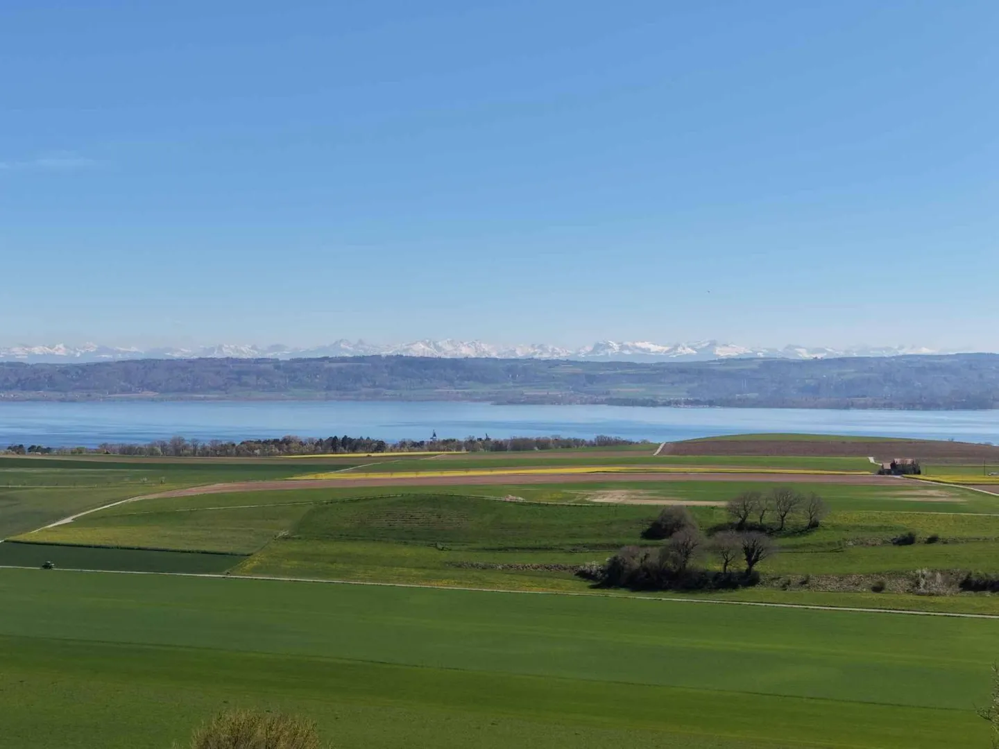 Villa with panoramic view of Lake Neuchâtel - Photo 11 of 13