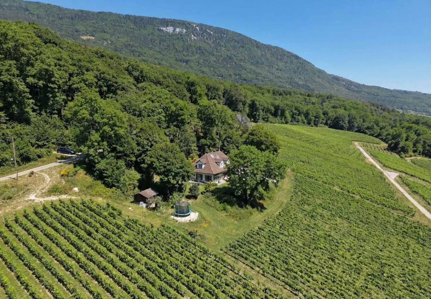 Villa with panoramic view of Lake Neuchâtel - Photo 12 of 13