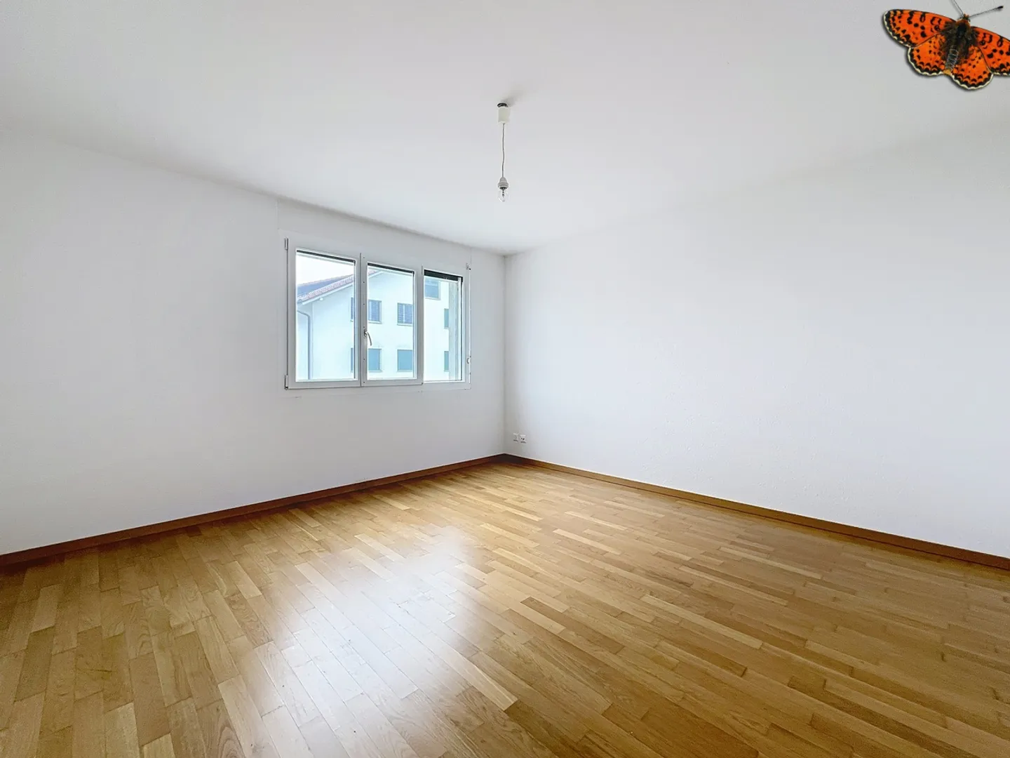 4½ STANZE - Con una terrazza - Foto 5 di 11