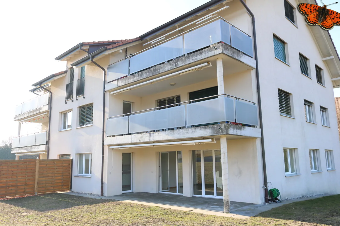 4½ STANZE - Con una terrazza - Foto 4 di 11