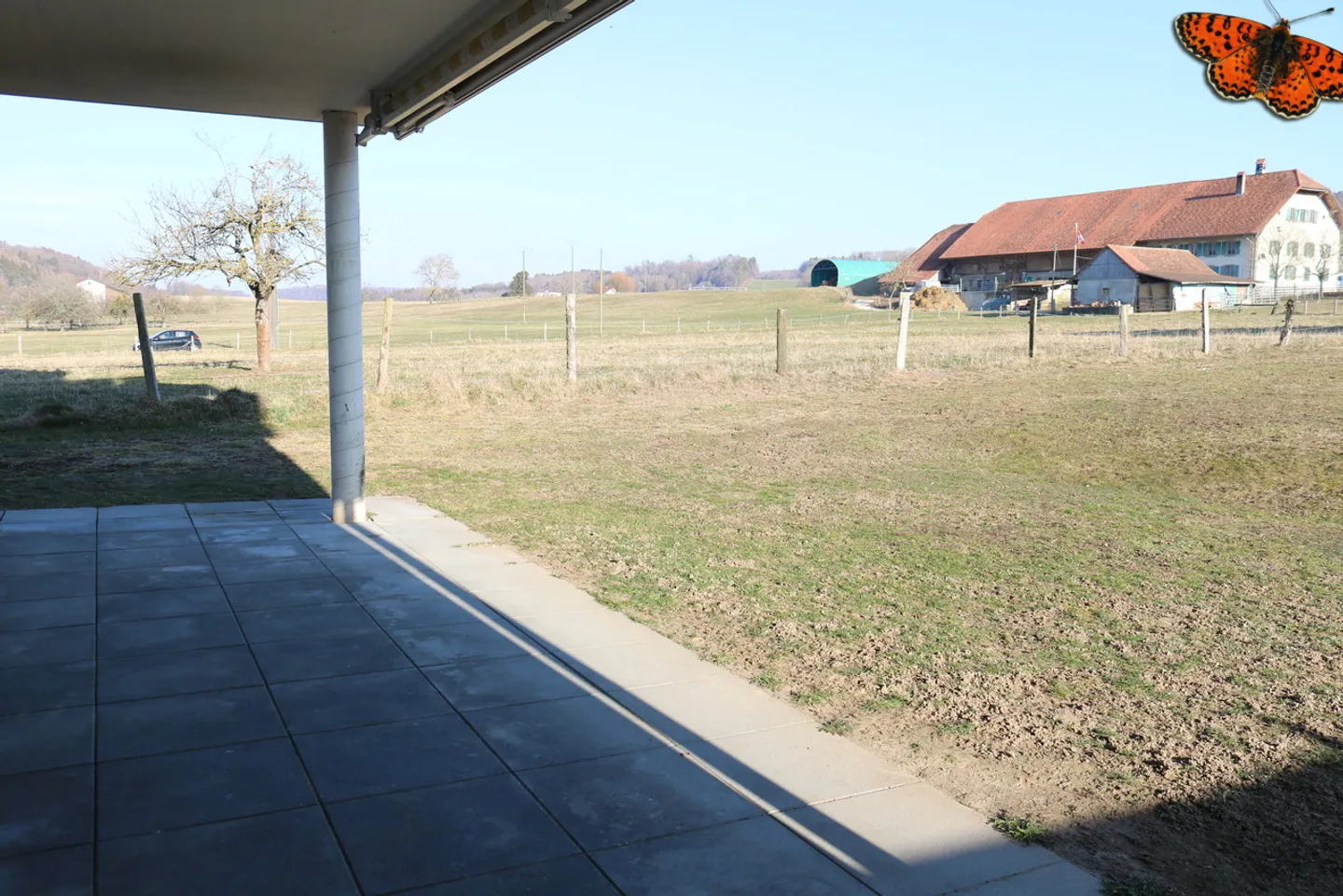 4½ STANZE - Con una terrazza - Foto 7 di 11