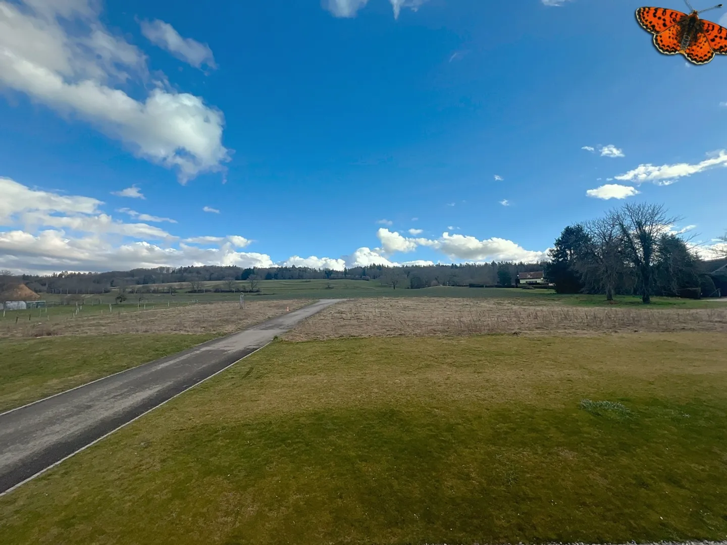 4½ STANZE - Con una terrazza - Foto 11 di 11