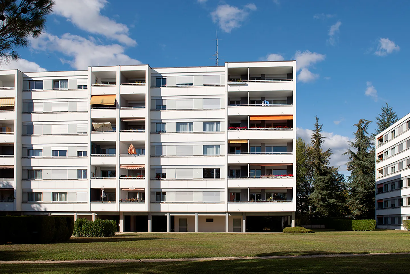 Underground place 1 room - Photo 1 of 4