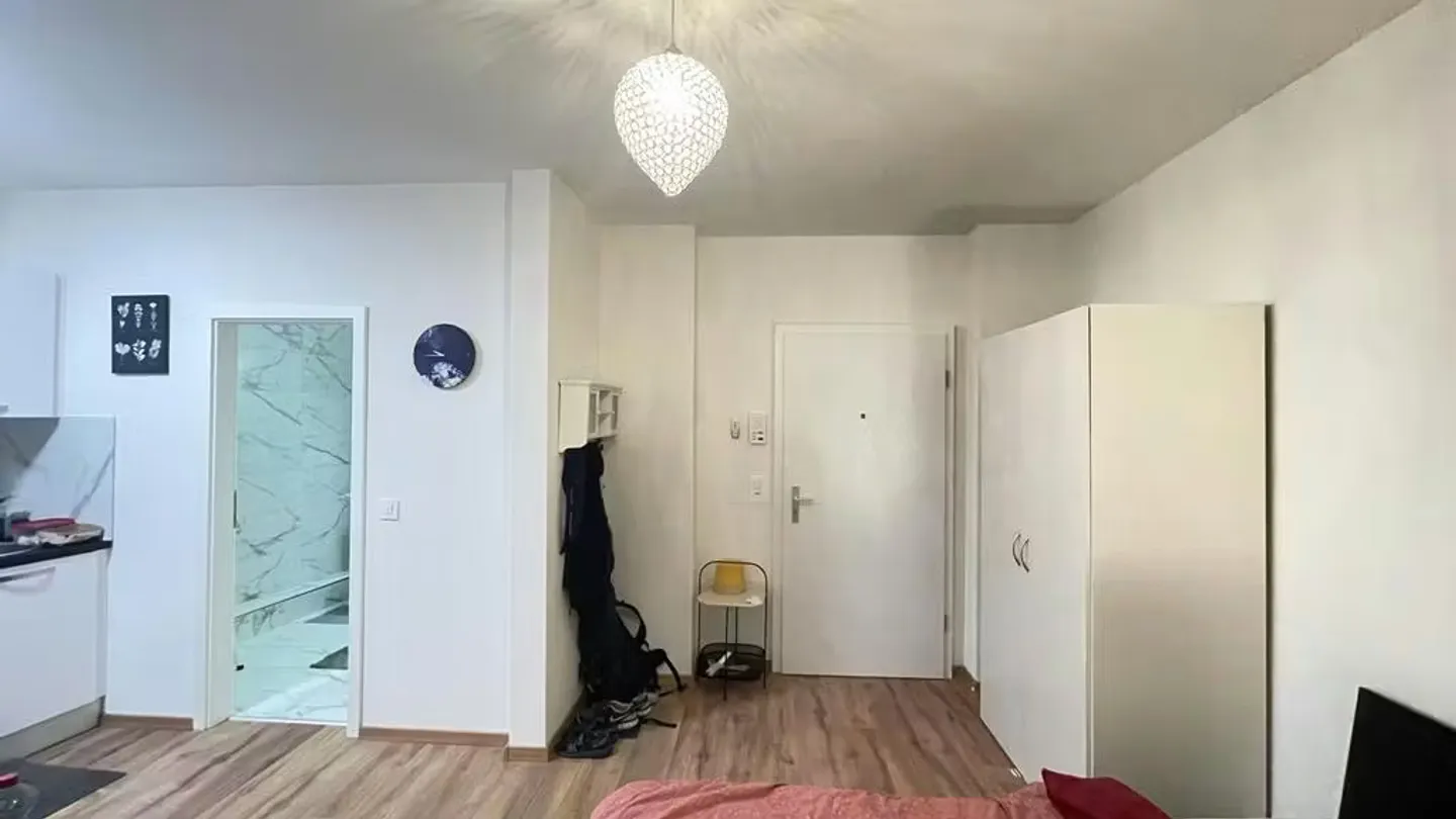 Charming Apartment in Zürich - Photo 4 of 6