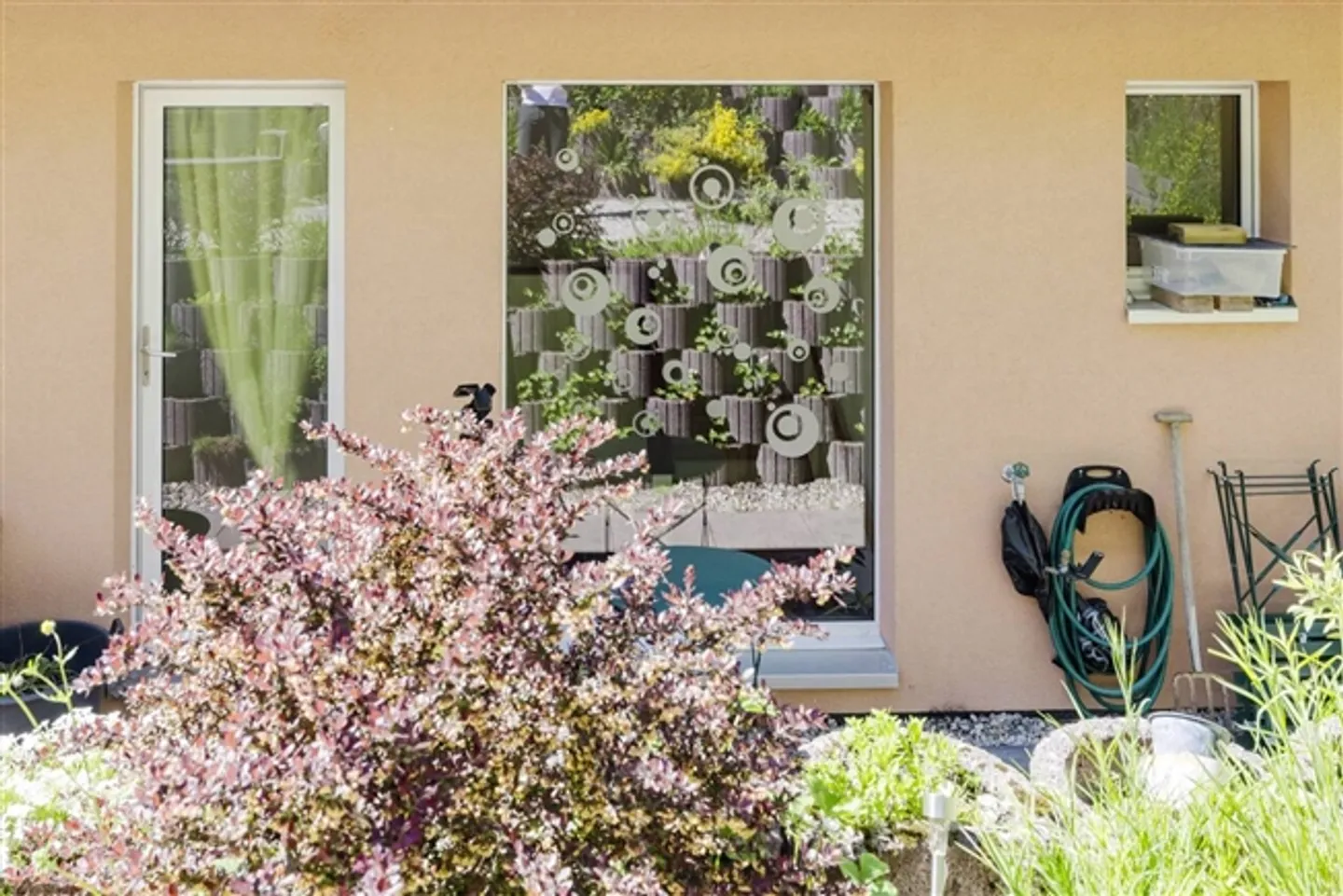 Near the city center, in a natural environment - Photo 1 of 13