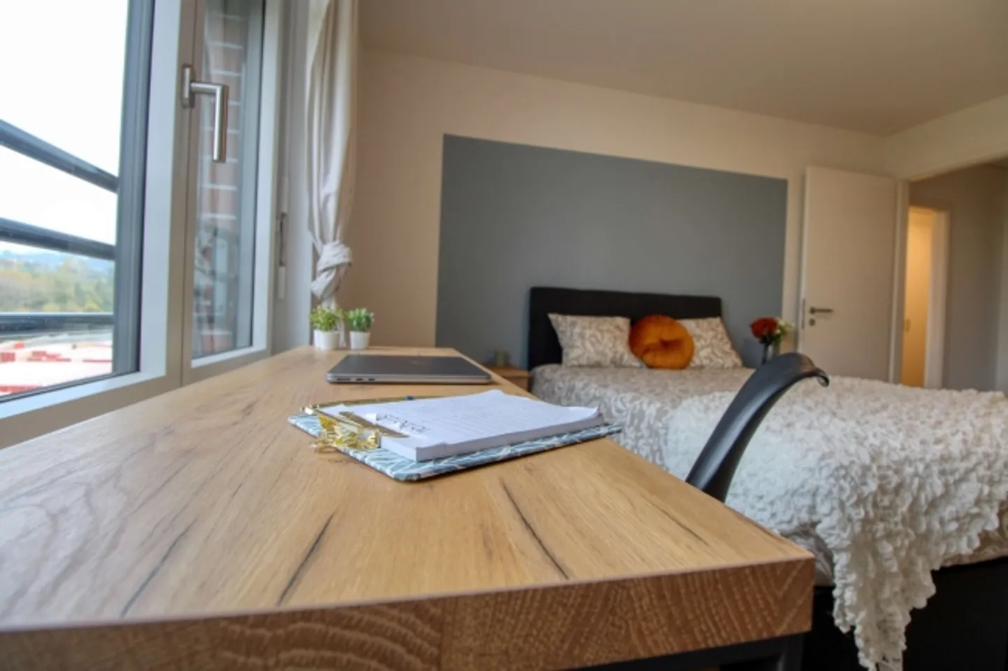 Spacious Living Apartment in Crissier with Private En-Suite Bathroom - Photo 7 of 9