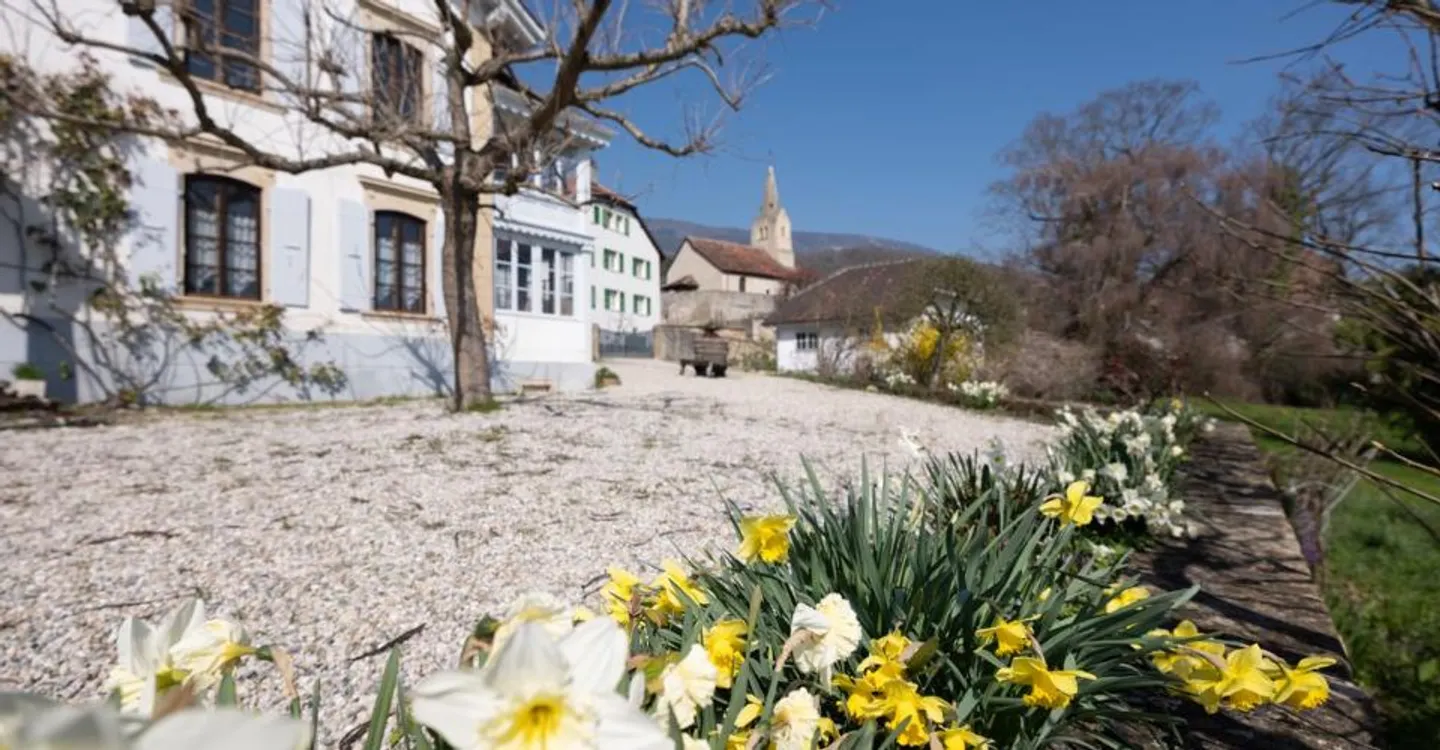 The Domaine au Marronnier - An exceptional property in the heart of the Vaud vineyard - Photo 3 of 12