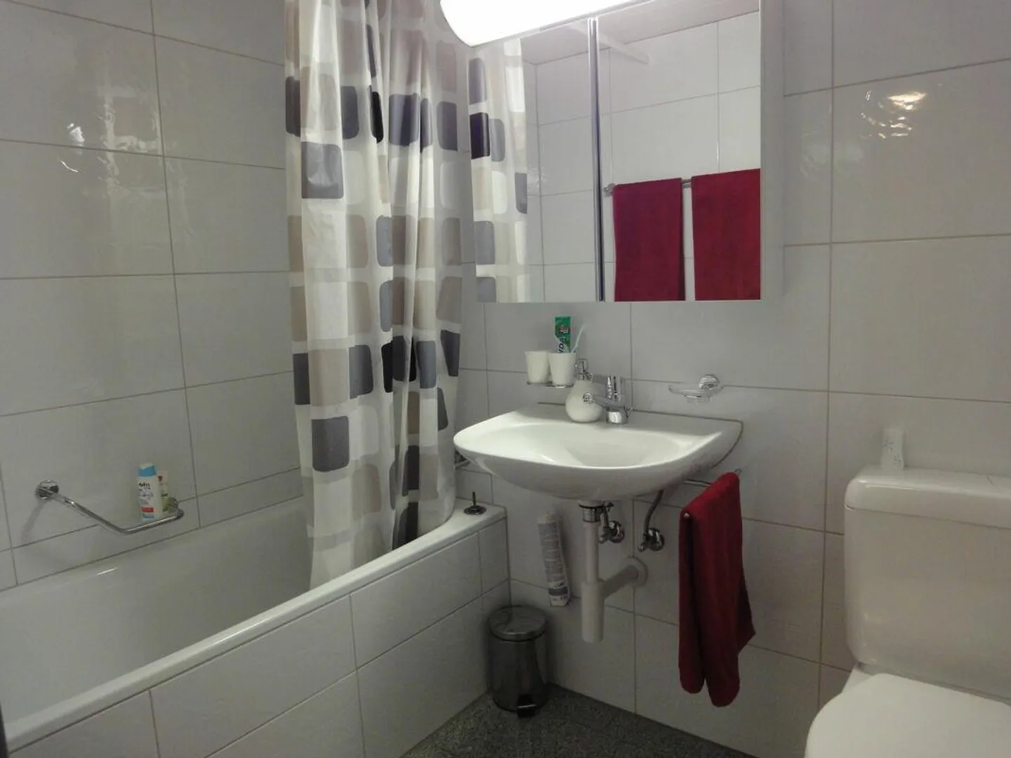 Appartamento 2,5 locali con area giardino - Foto 7 di 7