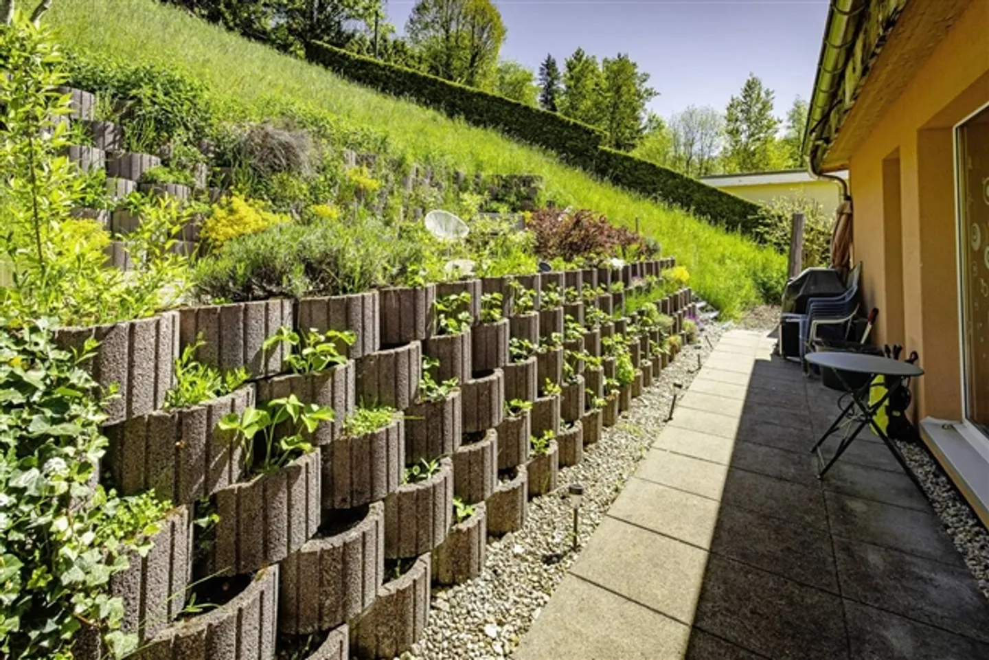 Near the city center, in a natural environment - Photo 12 of 13