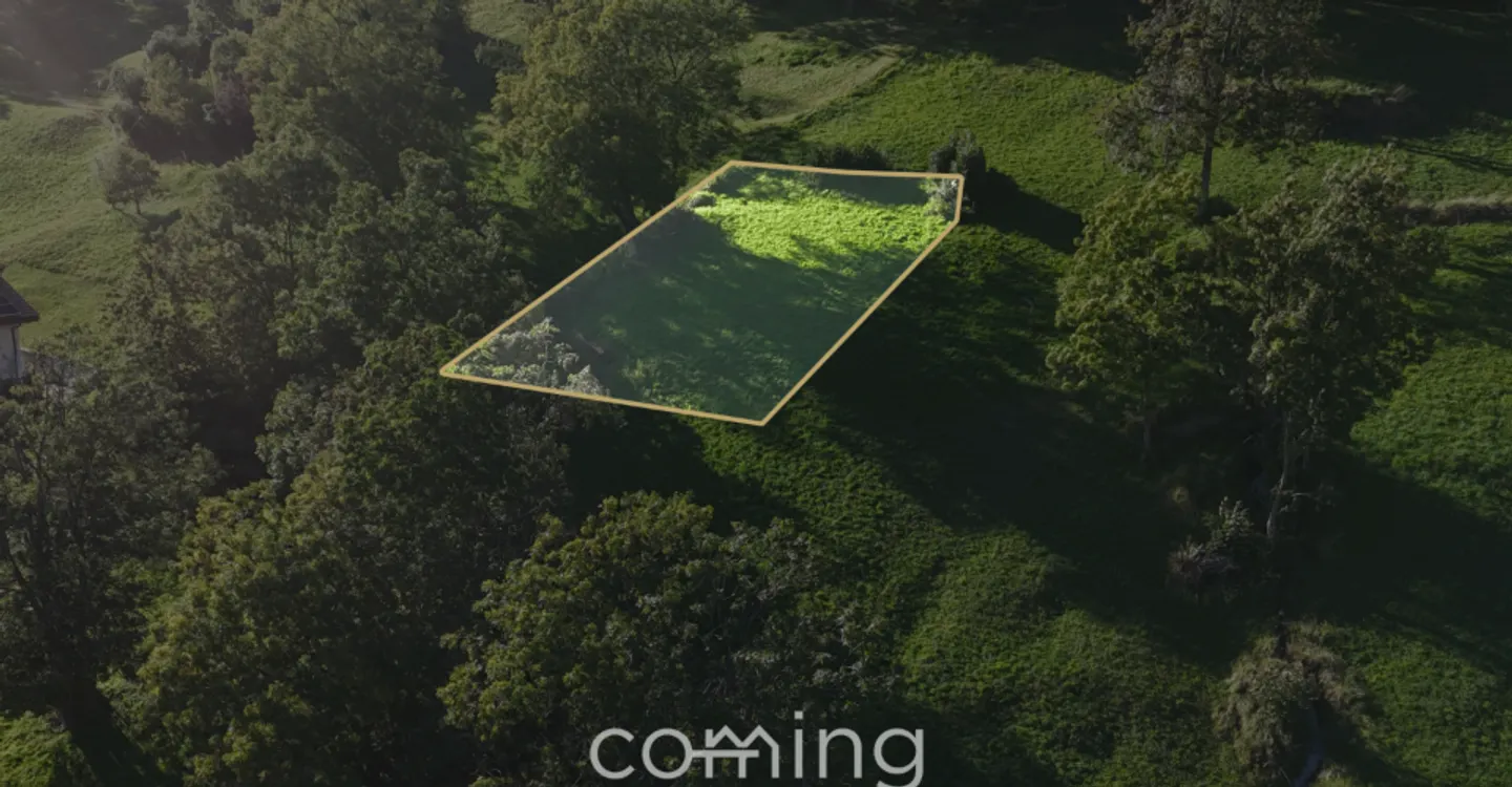 Sunny Building Plot in Mund - Photo 2 of 9