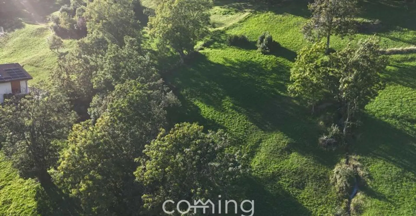 Sunny Building Plot in Mund - Photo 4 of 9