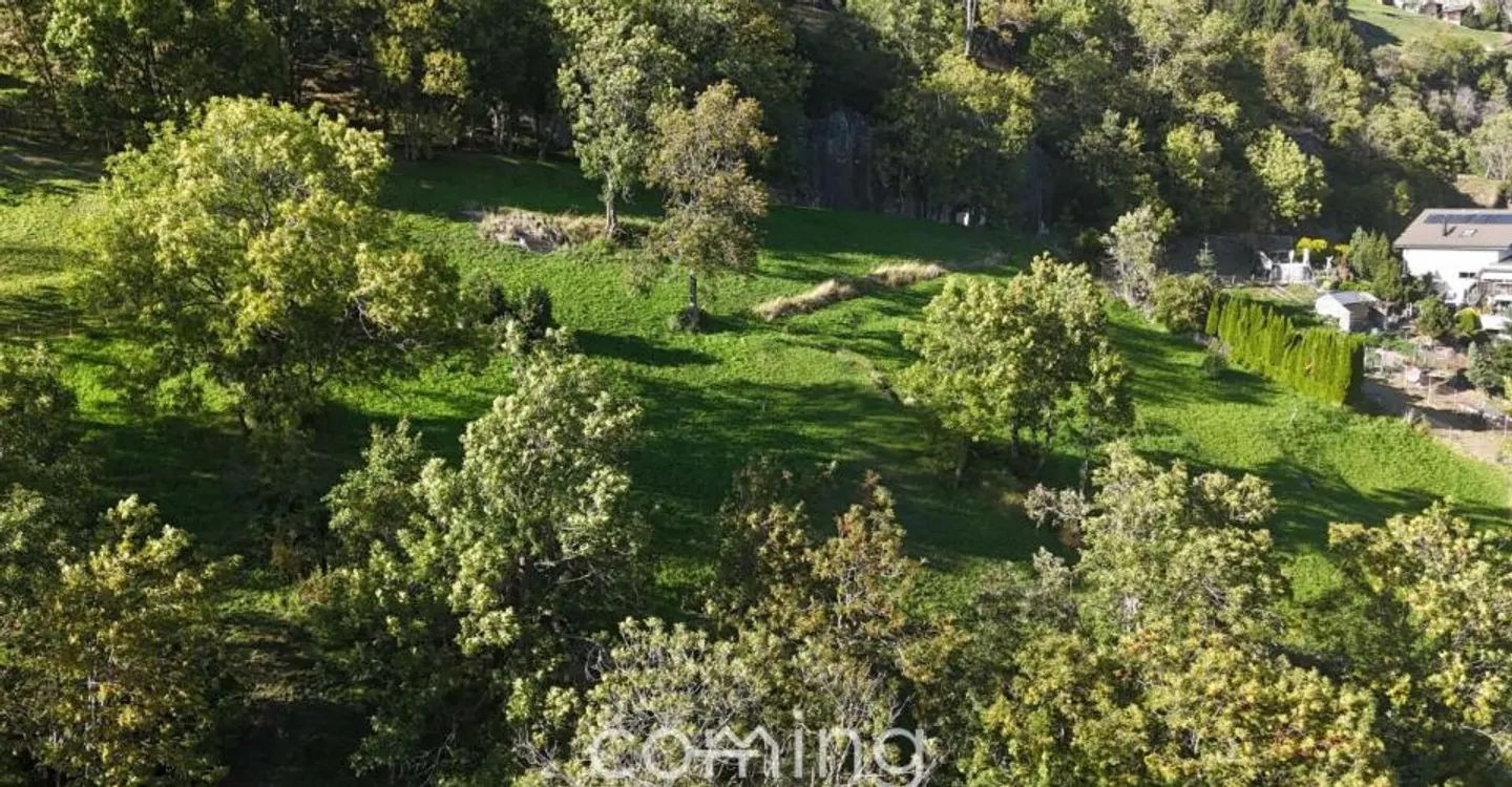 Sunny Building Plot in Mund - Photo 6 of 9