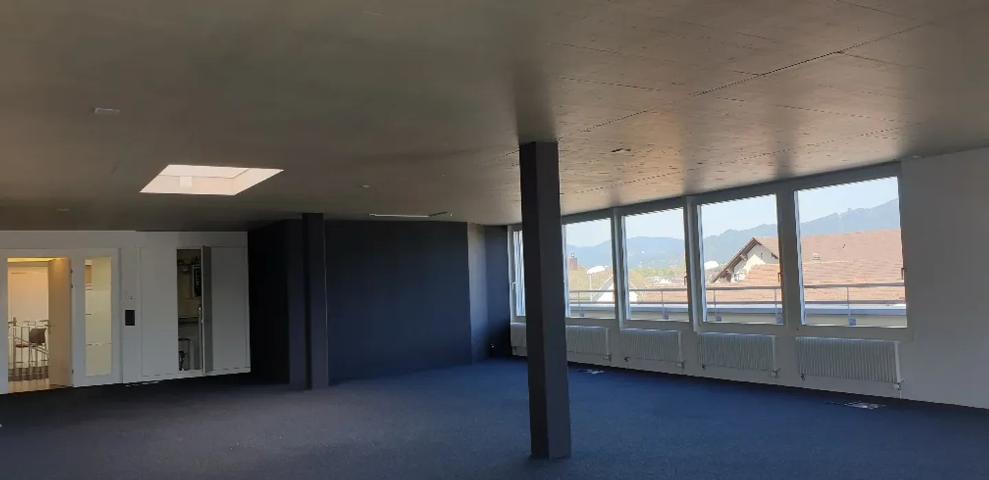 Bright commercial space with a surrounding terrace - Photo 4 of 13