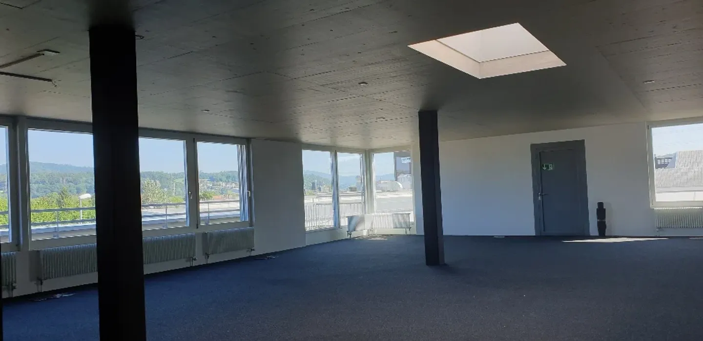 Bright commercial space with a surrounding terrace - Photo 2 of 13