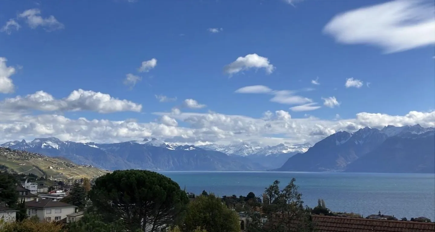 Attico in affitto - Foto 1 di 13